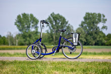 Afbeelding in Gallery-weergave laden, Van Raam Viktor