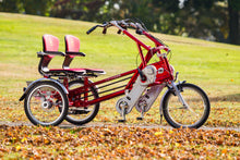 Afbeelding in Gallery-weergave laden, Van Raam Fun2Go Duofiets