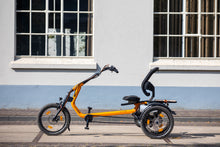 Afbeelding in Gallery-weergave laden, Van Raam Easy Rider - Lease