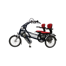 Afbeelding in Gallery-weergave laden, Van Raam Fun2Go Duofiets