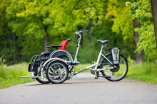 Afbeelding in Gallery-weergave laden, Van Raam VeloPlus
