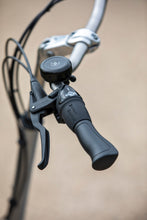 Afbeelding in Gallery-weergave laden, Van Raam Twinny - Lease