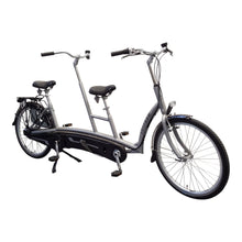 Afbeelding in Gallery-weergave laden, Van Raam Twinny - Lease