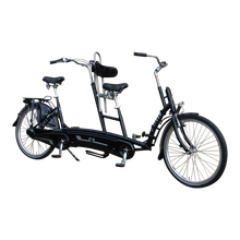 Afbeelding in Gallery-weergave laden, Van Raam Twinny - Lease