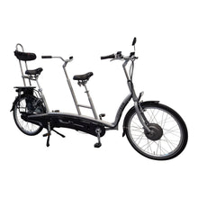 Afbeelding in Gallery-weergave laden, Van Raam Twinny - Lease