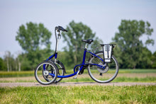 Afbeelding in Gallery-weergave laden, Van Raam Viktoria