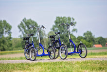 Afbeelding in Gallery-weergave laden, Van Raam Viktoria