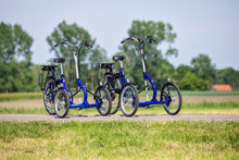 Afbeelding in Gallery-weergave laden, Van Raam Viktor