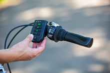 Afbeelding in Gallery-weergave laden, Van Raam Viktoria