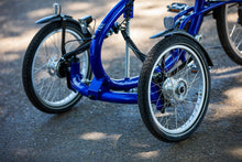 Afbeelding in Gallery-weergave laden, Van Raam Viktoria