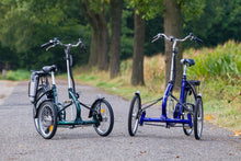 Afbeelding in Gallery-weergave laden, Van Raam Viktor