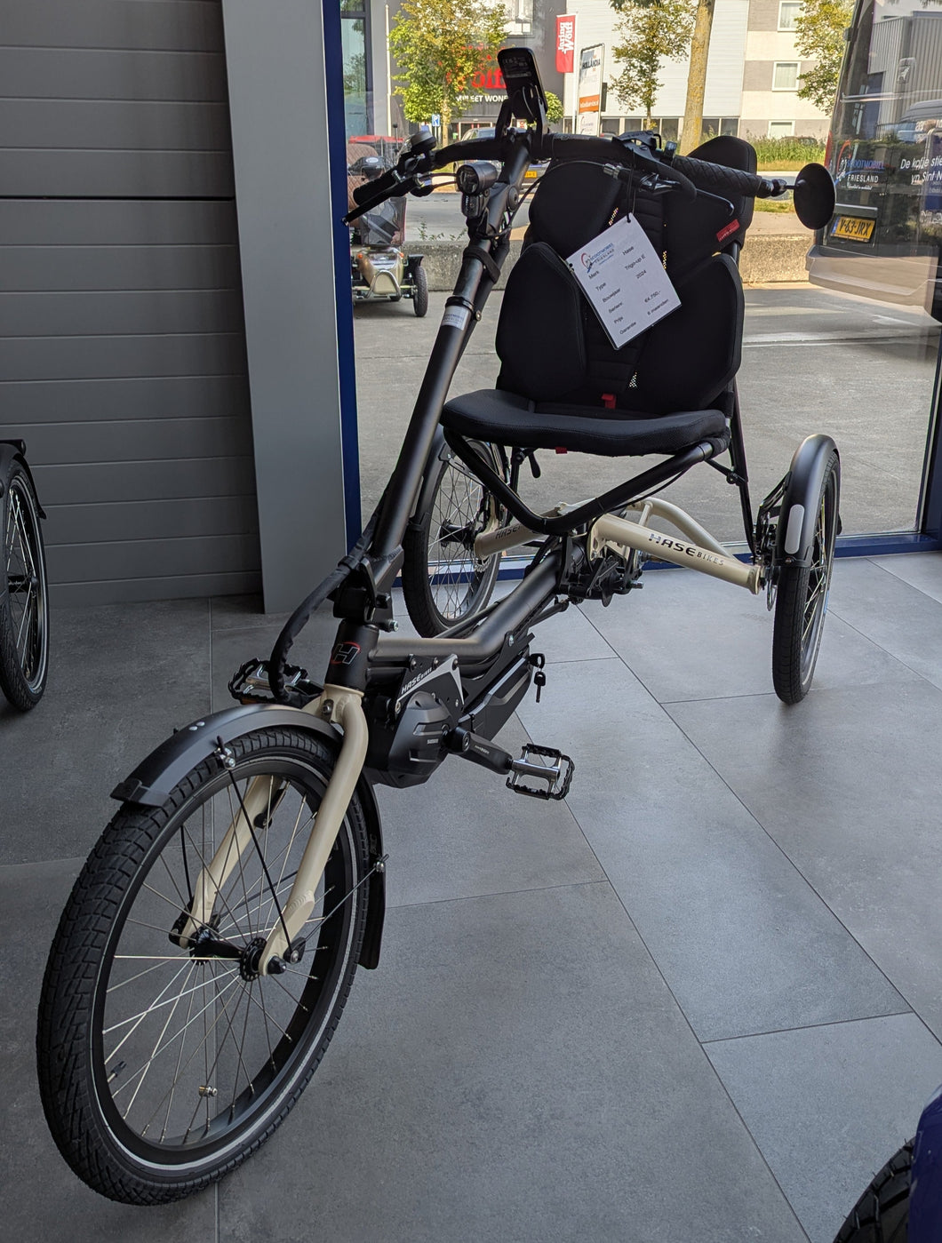 Hase Trigo Up E | 2024
