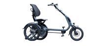 Afbeelding in Gallery-weergave laden, Van Raam Easy Rider Compact
