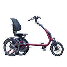 Afbeelding in Gallery-weergave laden, Van Raam Easy Rider Compact

