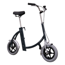 Afbeelding in Gallery-weergave laden, Van Raam Fiets City
