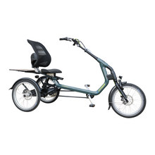 Afbeelding in Gallery-weergave laden, Van Raam Easy Rider - Lease
