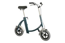 Afbeelding in Gallery-weergave laden, Van Raam Fiets City

