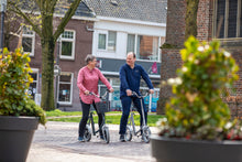 Afbeelding in Gallery-weergave laden, Van Raam Fiets City
