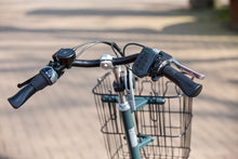 Afbeelding in Gallery-weergave laden, Van Raam Easy Go
