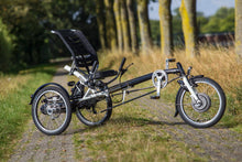 Afbeelding in Gallery-weergave laden, Van Raam Easy Sport

