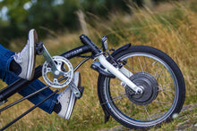 Afbeelding in Gallery-weergave laden, Van Raam Easy Sport
