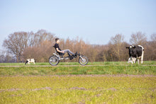 Afbeelding in Gallery-weergave laden, Van Raam Easy Sport
