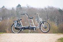 Afbeelding in Gallery-weergave laden, Van Raam Twinny
