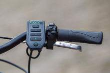 Afbeelding in Gallery-weergave laden, Van Raam Easy Go

