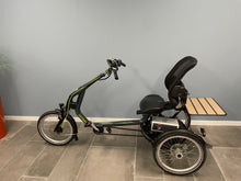 Afbeelding in Gallery-weergave laden, Van Raam Easyrider 2023
