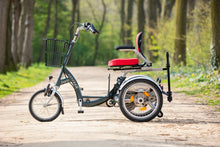 Afbeelding in Gallery-weergave laden, Van Raam Easy Go
